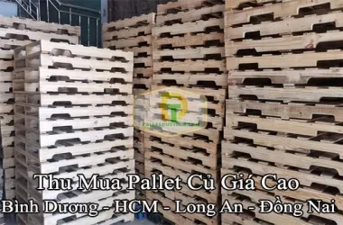 Thu Mua Pallet Củ Giá Cao