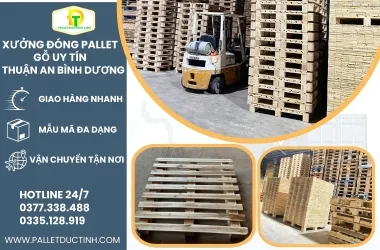 Xưởng Đóng Pallet Gỗ Uy Tín Tại Thuận An, Bình Dương -  Pallet Gỗ Đức Tình