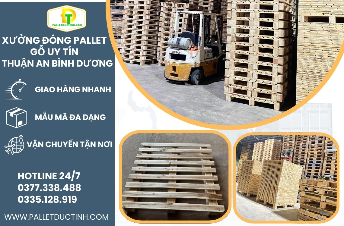 Xưởng Đóng Pallet Gỗ Uy Tín Tại Thuận An, Bình Dương – Pallet Gỗ Đức Tình