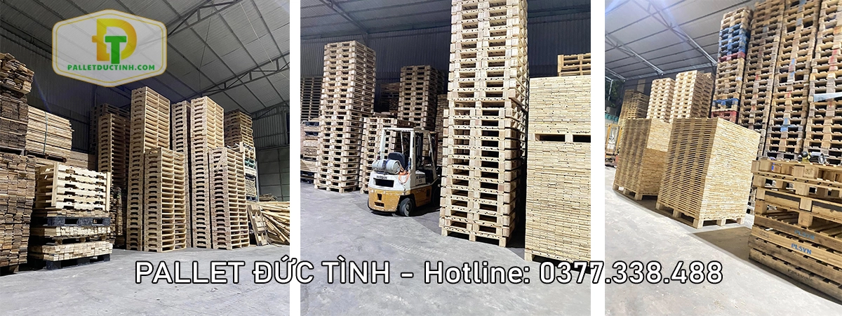 Xưởng Đóng Pallet Gỗ Uy Tín Tại Thuận An, Bình Dương