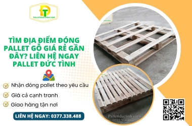 Tìm Địa Điểm Đóng Pallet Gỗ Giá Rẻ Gần Đây? Liên Hệ Ngay Pallet Đức Tình
